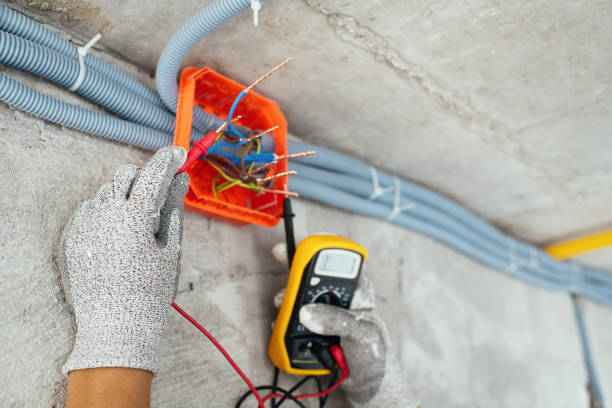Best Generator Installation Services  in Campbellsville, KY